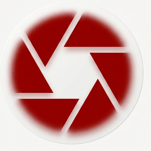 Colourise logo