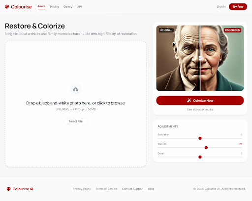 Colourise AI photo colorization main interface showing upload area and colorized preview