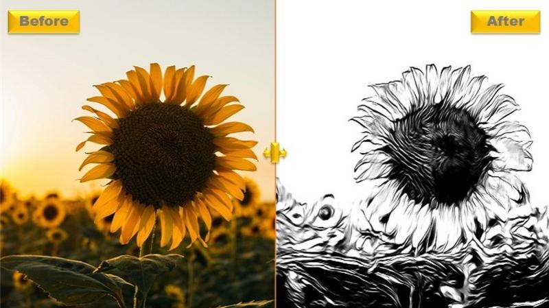 DigitalArtSunflower