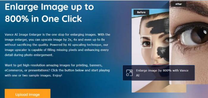 Vance AI Image Enlarger
