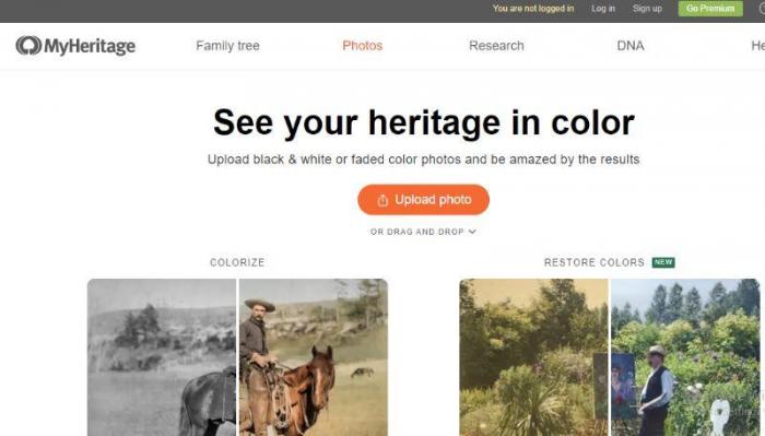 make pictures come to life with Myheritage step 2