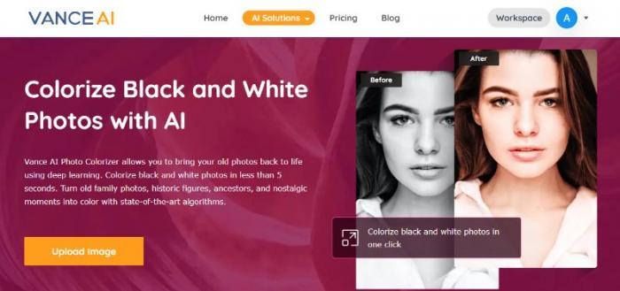VanceAI-VanceAI Photo Colorizer